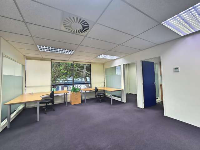 B/123 Dominion Road Mt Eden_3