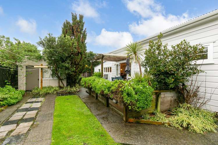 23 Brussels Street Miramar_15