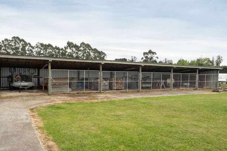 181 Mitcham Road Allenton_27