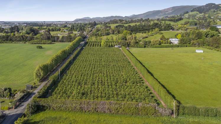 161 Paton Road Hope_20