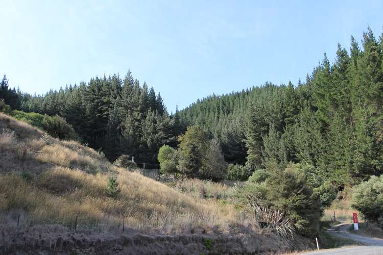 1806 Northbank Road Wairau Valley_8