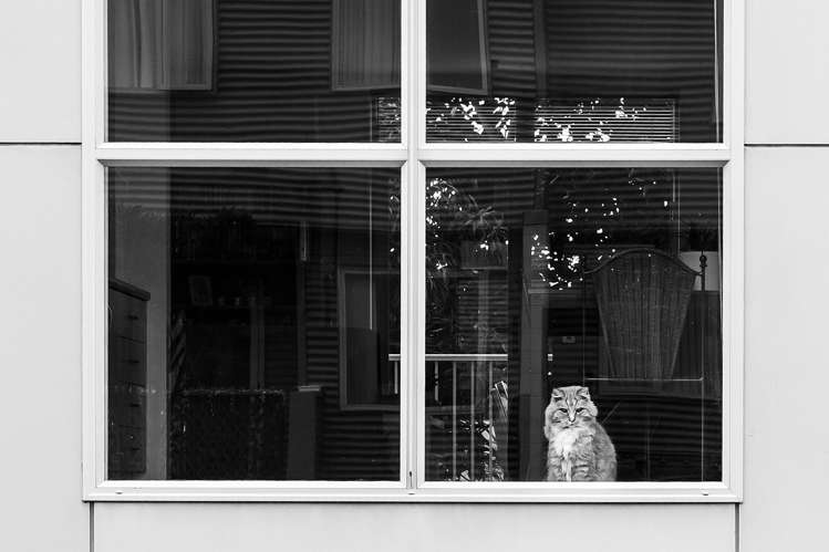 6/54 Champion Street St Albans_20