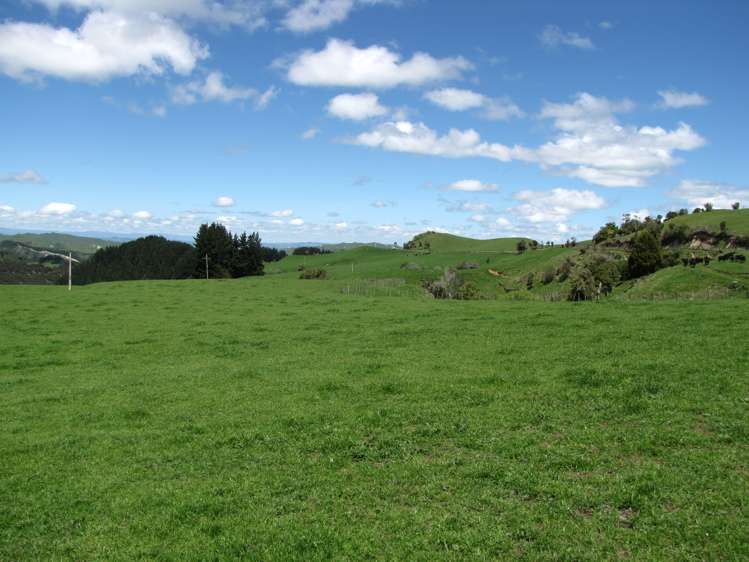 205 Kaweka Road Taihape and Surrounds_10