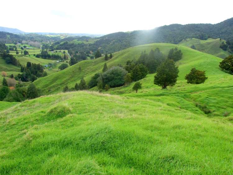 185 Takahue Saddle Road Takahue_13