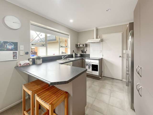 24a Pitama Road Awapuni_1