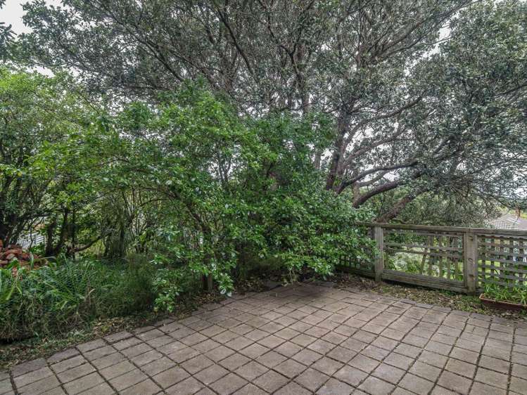 44 Wilberforce Street Miramar_10