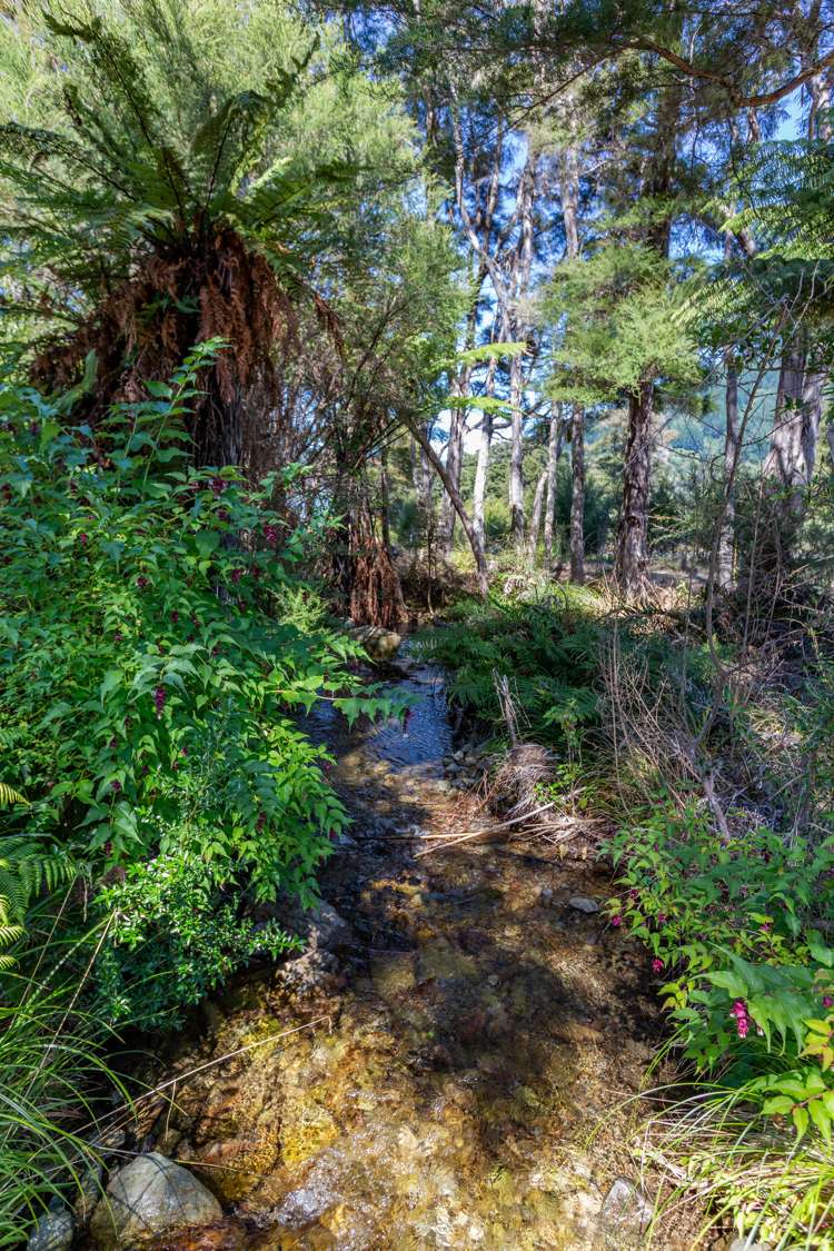 2715 Kaiuma Bay Kaiuma Bay_12