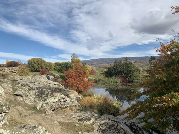 196 Chapman Road Alexandra_24