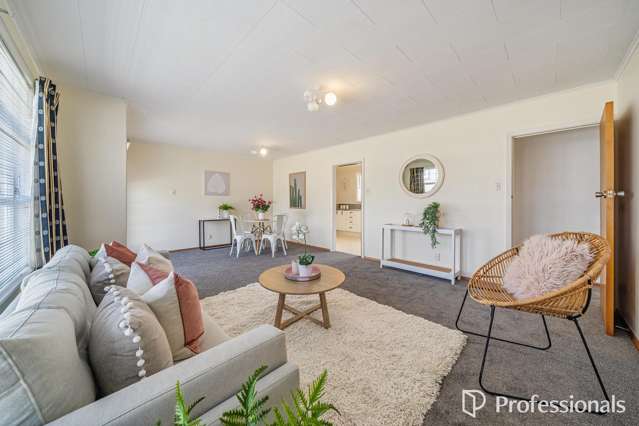 52a Pretoria Street Lower Hutt Central_4