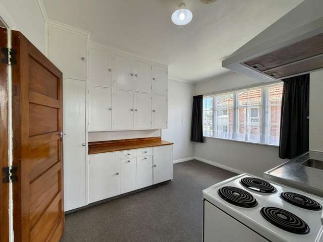 17A Millward Street 1236_4