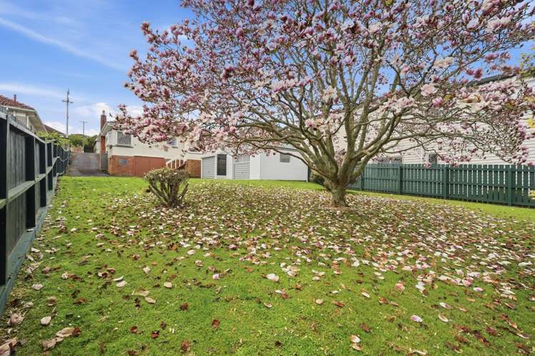447 Mount Albert Road Mt Roskill_19