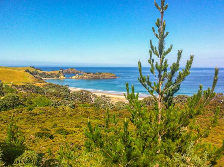 137 Sandhills Road Great Barrier Island_30