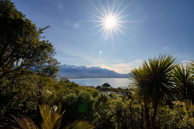 11 Maui Street Kaikoura_23