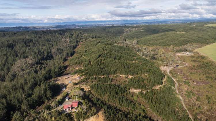 441 Waiwhero Road Ngatimoti_38