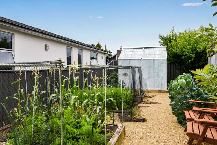 12 William James Close Mosgiel_22