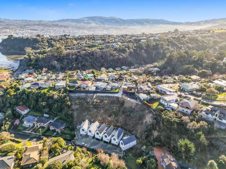 c Heath Street Andersons Bay_6