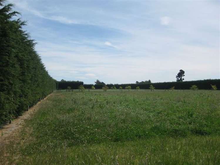 754 Waterholes Road Rolleston_13