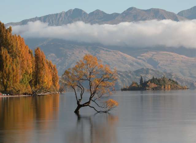 Address withheld Queenstown_1