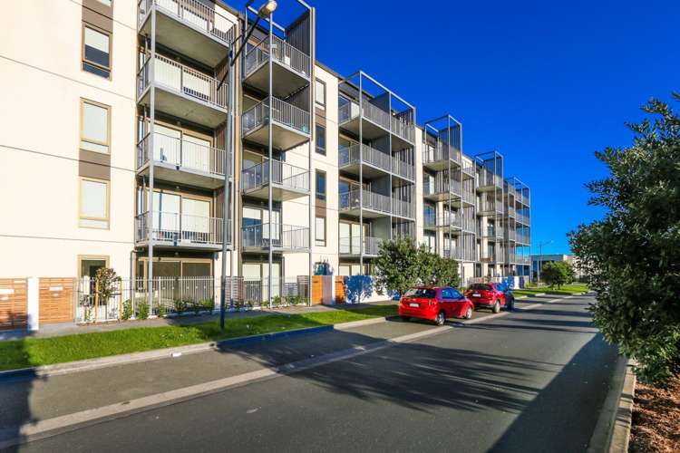 206/4 Bluegrey Avenue Stonefields_0