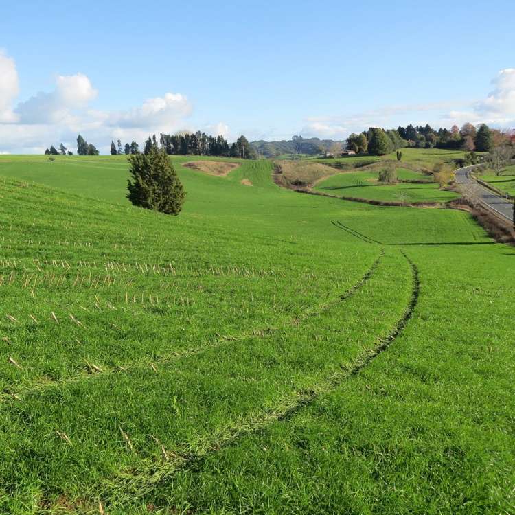 Waitomo Caves Road Waitomo_11