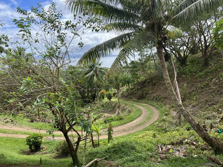 Naqilai Estate Taveuni Island_1