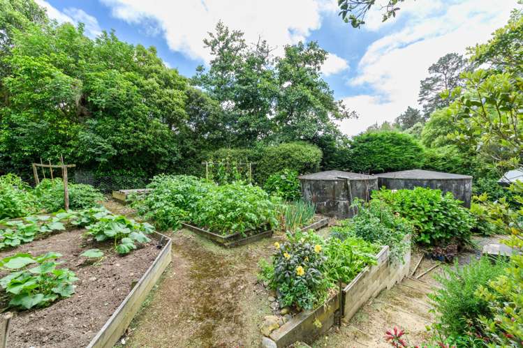 319 Pahiatua Aokautere Road Aokautere_31