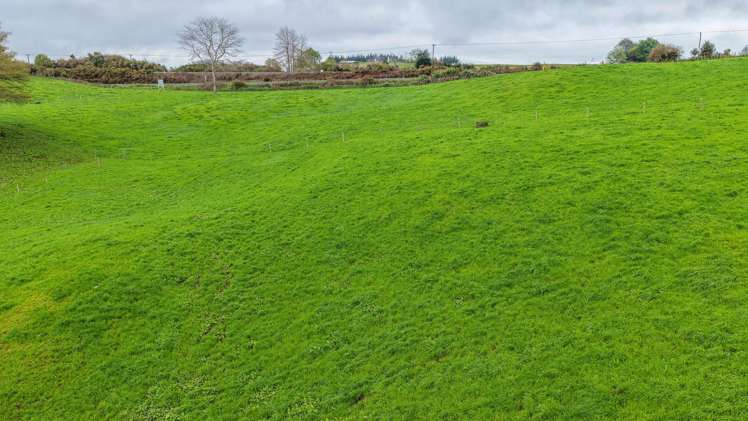 Pine Road Putaruru_5