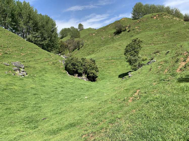 2896 State Highway 3 Awakino_31