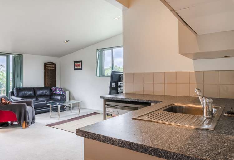 19a Arran Street Avondale_6