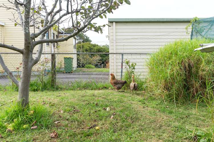 54 Potter Avenue Mt Roskill_16