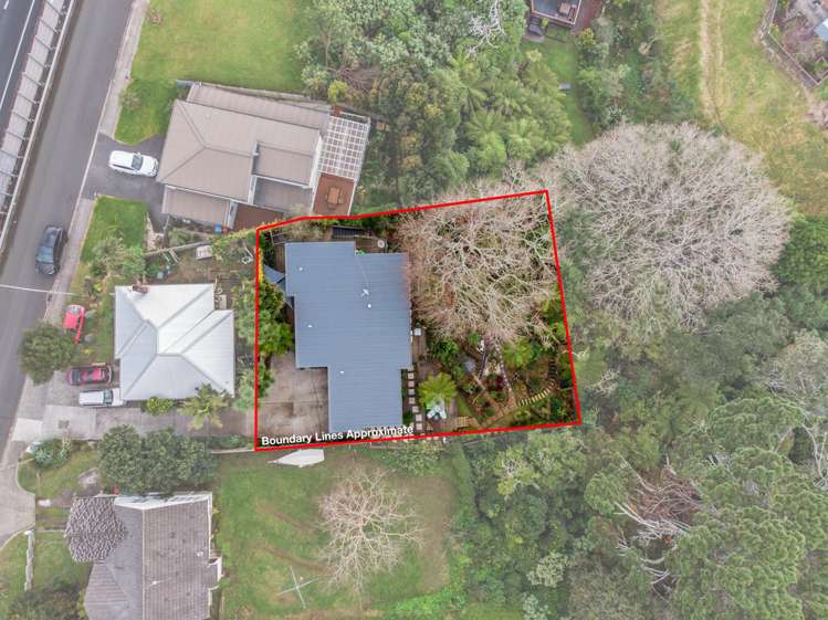 47a Hendry Avenue Hillsborough_18