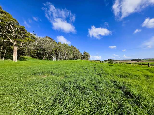 Lot Lot 3 Sills Road Dargaville_2