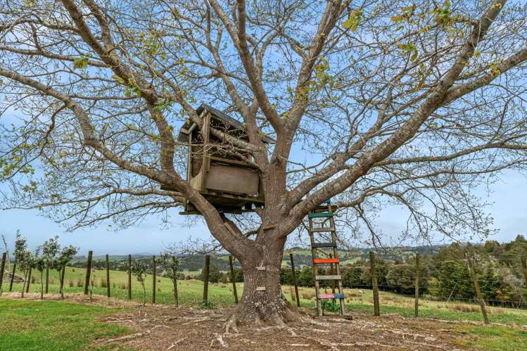 573 Waimate North Road Kerikeri_32