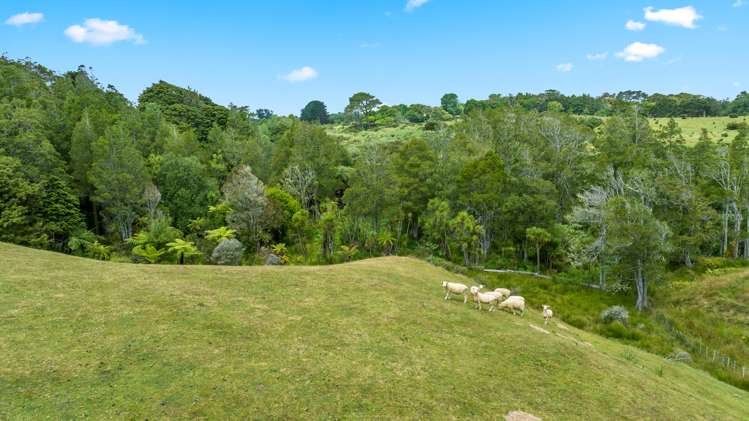 237 Smith Road Otaua_25