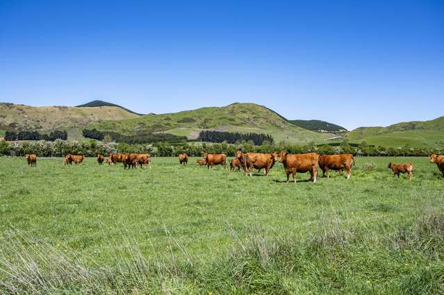 Wyndale Road Springfield_4