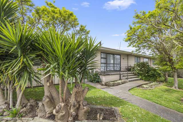 49 Tower Road Matamata_1