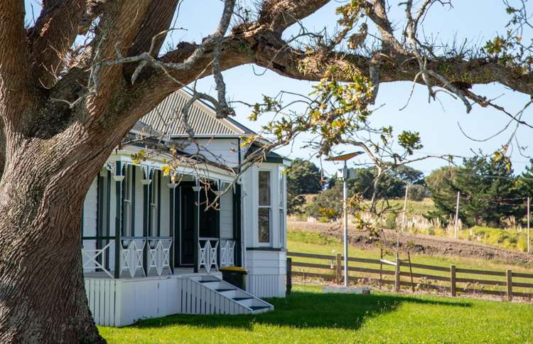 3 Daisy Burrell Drive Gulf Harbour_41