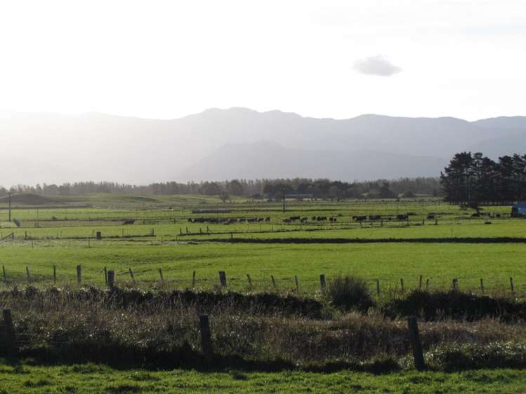 2246 Kahutara Road Kahutara_12