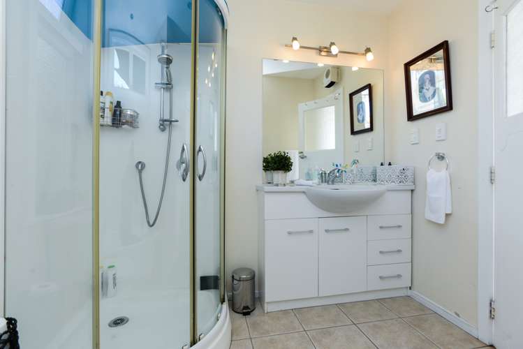 9 Carnell Street Napier South_14