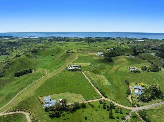 106D Awanuiarangi Road Pikowai_1