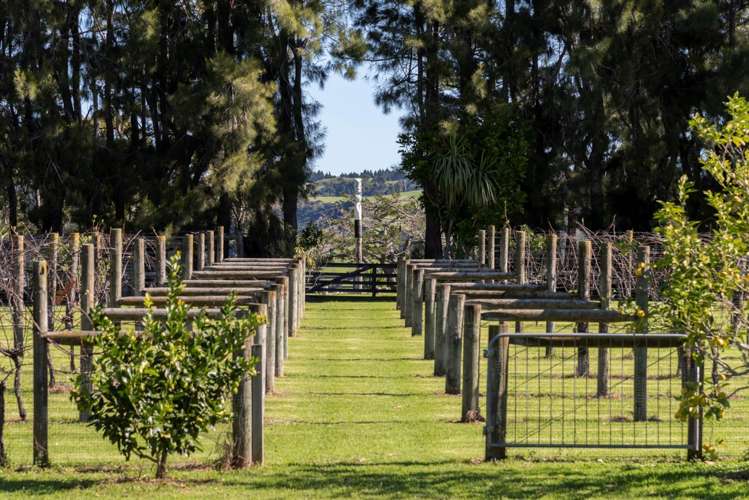 110 Woodhill Park Road Waimauku_38