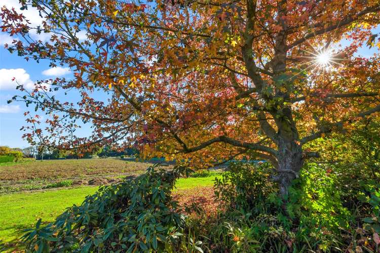 768 Marshland Road Styx_26