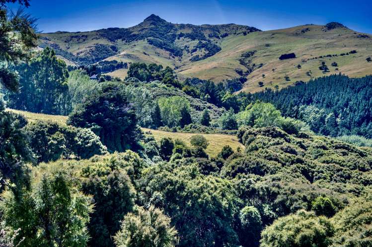 190 Okains Bay Road Robinsons Bay_7