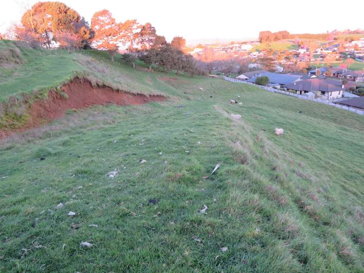 866 Bond Road Te Awamutu_5