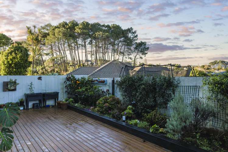 13e Morton Avenue Forrest Hill_15