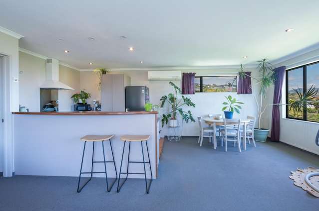 34 Maire Street Tahunanui_4