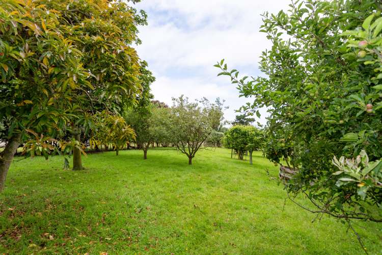 228 Tayforth Road Westmere_16