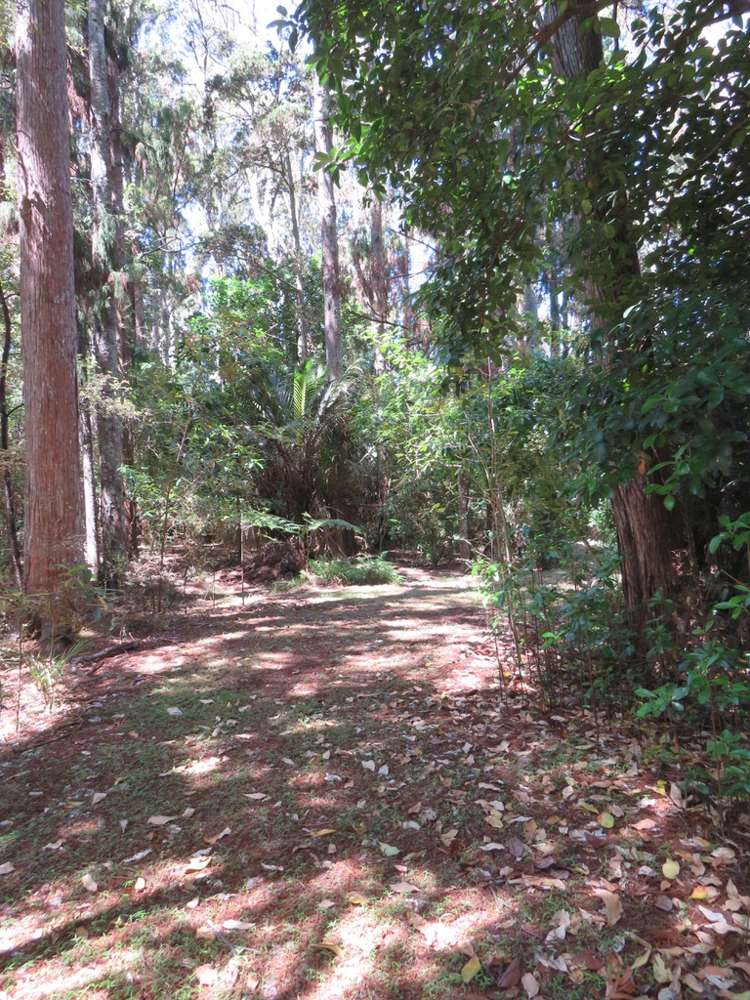 504b Wairere Road Maungaturoto_18