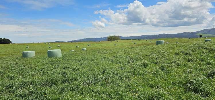 Parker Road Gore Surrounds_8