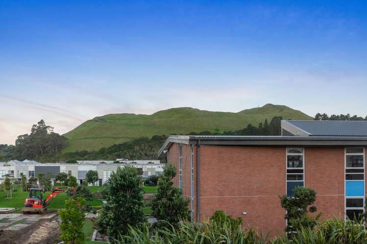 17 Guyon Street Stonefields_12